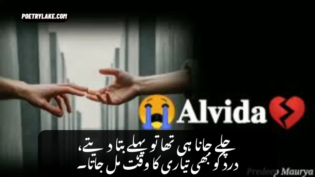 Best Alvida Poetry Anthology