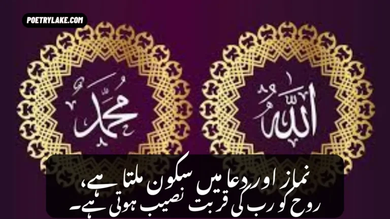 Best Islamic Poetry