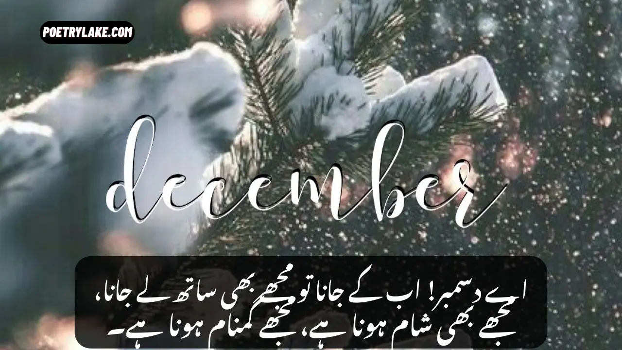 December Memories Poetry Collection